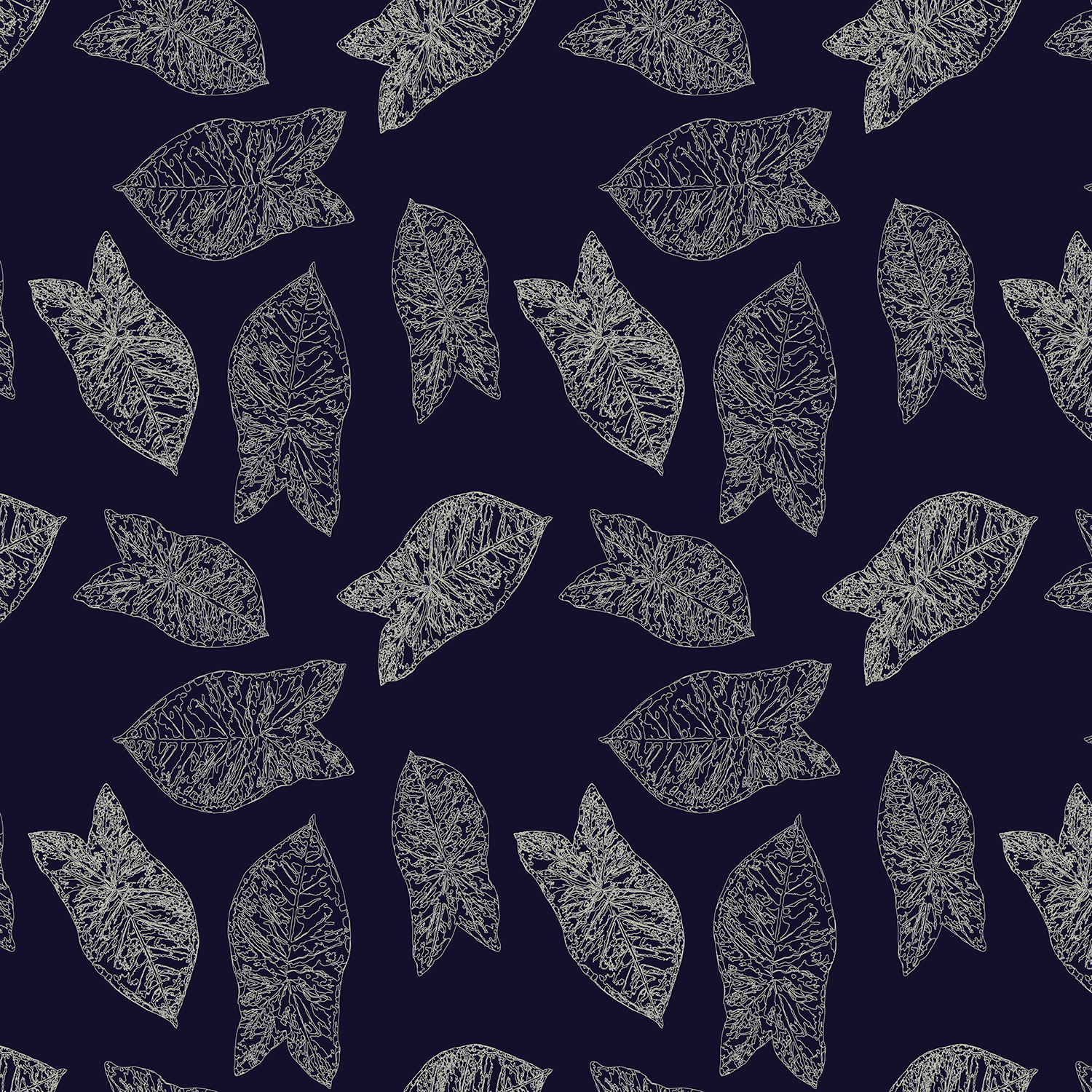 AK-PD-Syngonium-Blaetterkonturen-01 Annette Kunow AK-PD-Syngonium-Blaetterkonturen-01 Annette Kunow